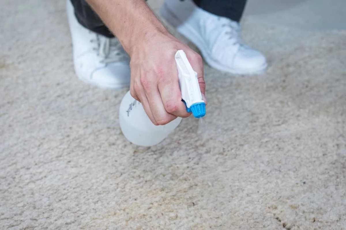 Bescherming voor de toekomst